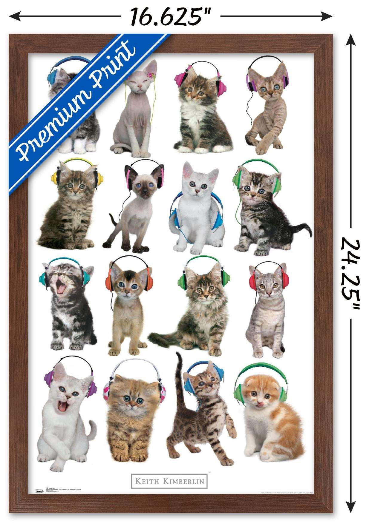 Keith Kimberlin - Kittens - Headphones Wall Poster, 14.725" x 22.375", Framed