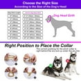 thumbnail image 5 of Dog Collar Cuban Link Dog Chain Metal Dog Chain Collars Dog Cuban Link Collar for Small Medium Dogs, 5 of 10