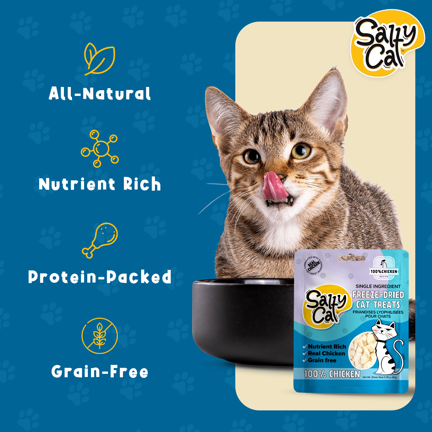 Salty Cat Freeze-Dried Chicken Flavor Crunchy Treats for Cats, 10g Bag