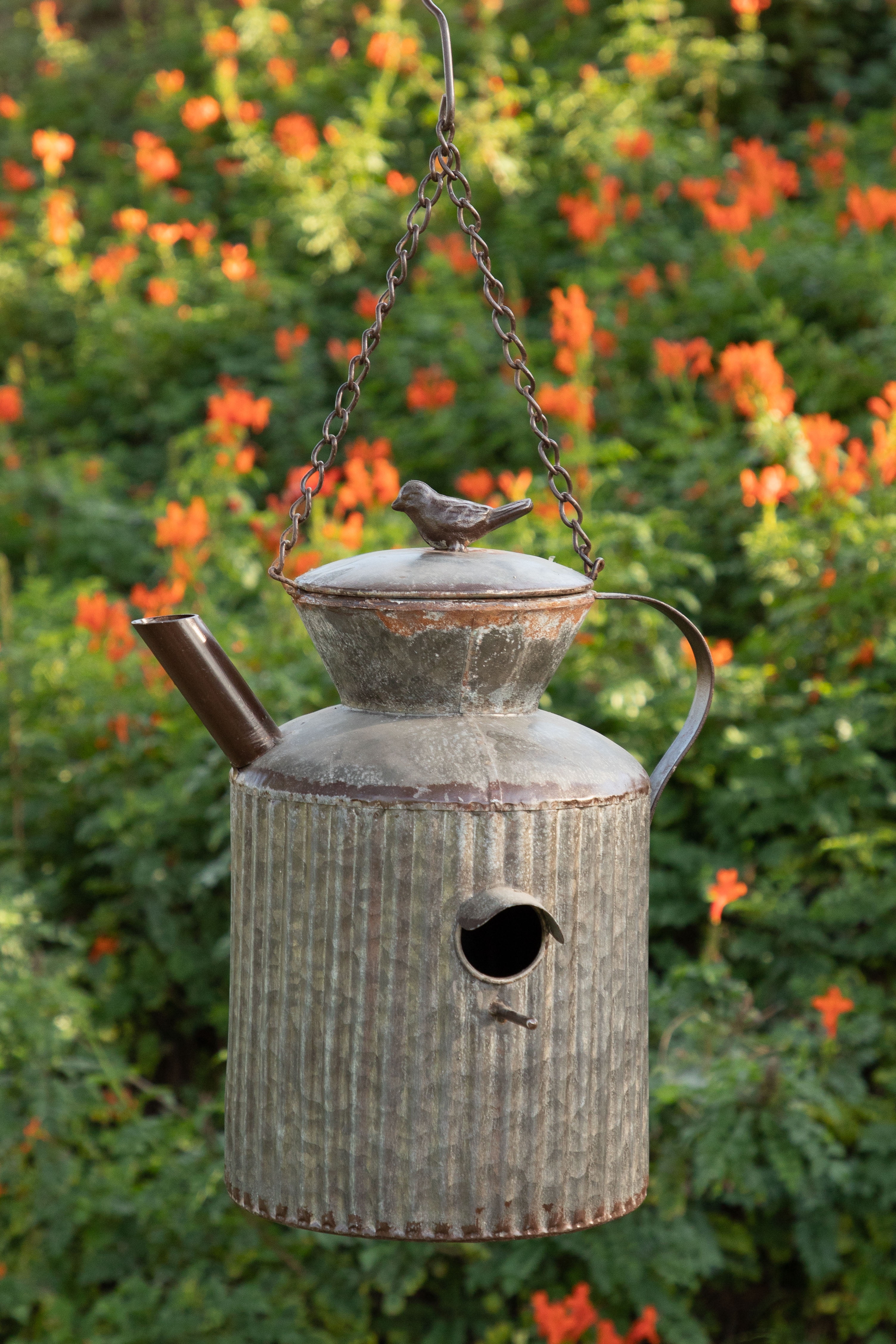 Alpine Corporation 13Inch Hanging Watering Tin Can Birdhouse, White