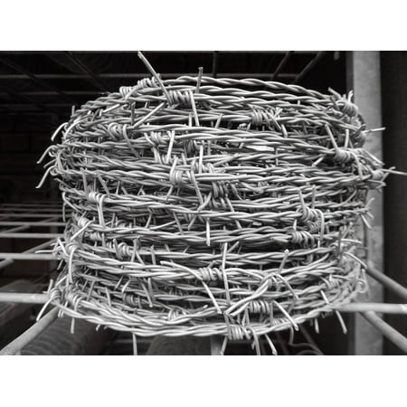 - LAMINATED POSTER Fence Spur Metal Wire Roll Barbed Barbed Wire Poster Print 24 x 36