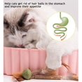 thumbnail image 3 of 10 Uds. De juguetes de hierba gatera, juguetes de plumas de Silvervine resistentes a mordeduras, palitos para masticar gatos, juguete interactivo para limpieza de dientes de gato, comestibles naturale Namotu CZCW-ZC497, 3 of 7