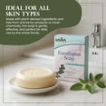 thumbnail image 6 of Madina Eucalyptus Soap Bars, Refreshing Cleansing Formula with Natural Oils, Invigorating Skincare, 3.5 oz Each, 6 Pack, 6 of 6