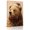 Brown, variant on Canvas Wall Art, Cute Bear Framed Canvas Prints for Living Room Office, Christmas Hat Wild Snowy Winter Rustic Large Gallery Wrapped Wall Decor for Home Office, Gifts, 16"x24" Ship Next Day