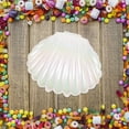 thumbnail image 7 of 10pcs Sea Shell Party Favors – Ocean-Themed Jewelry Boxes for Birthday, Beach & Under the Sea Parties – Lightweight Durable Plastic Treat Containers for Kids, Teachers, Event Planners, 7 of 7
