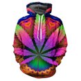 thumbnail image 3 of Sudadera con capucha con estampado 3D de hojas de malezas para hombre, sudadera informal de manga larga con patrón de plantas coloridas, sudadera holgada unisex, jersey de calle, 3 of 5