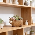 thumbnail image 4 of Uandlove Scottish Highland Cow Planter, Cute Resin Succulent Flower Pot, Rustic Farmhouse Desk Decor for Home Office Shelf, 4 of 6