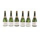 thumbnail image 5 of 24 Piezas Mini Botella De Burbujas De Champán Boda Fiesta Favores Recepción Año Nuevo Sunnimix Burbuja de soplado de botellas, 5 of 7