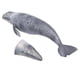 thumbnail image 5 of Animales del océano Figura de Ballena Vida Marina Modelo de Ballena del Mundo Marino Modelo de Ballenas Grises para Juguetes educativos y de Juego de Roles para niños ANGGREK Otros, 5 of 8