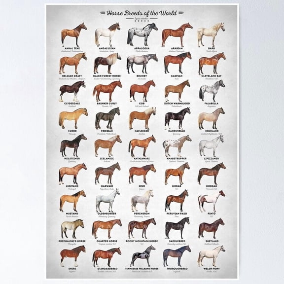 Poster Horse Breeds Of The World, Vintage Wall Art, Trendy Retro Print, Positive Quote Poster, Room Decor, Wall Art, UNFRAMED