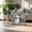 Silver, variant on FeiFu Durable Stainless Steel Floor Fan, Efficient Powerful Tilt Cooling Fan, Quiet Air Circulation, Home Study Area Appliances