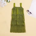 thumbnail image 2 of Vividxx Dress For Girls Flapper Dress Sequins Fringe Latin Dance Dress Tassel Tango Dress 2-3 Years, 2 of 3