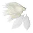 thumbnail image 2 of 200 Pieces Natural Magnolia Skeleton Leaf Scrapbooking White, 2 of 5