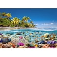 thumbnail image 2 of Pangea Images 32x24 Black Ornate Wood Framed with Double Matting Museum Art Print Titled - Underwater life, 2 of 4