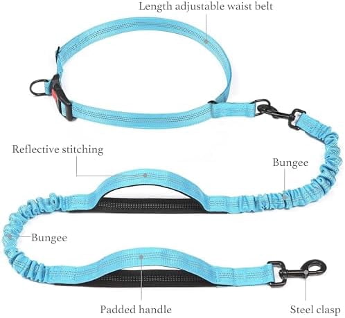 Retractable Hands Free Dog Leash - Dual Handle Bungee Waist Leash for Small, Medium and Large Dogs (Small, 8-25 lbs, Baby Blue)