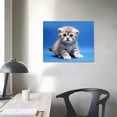 thumbnail image 3 of ONETECH Wall Art Canvas Paintings Decorative Kitten scottish fold breed on blue Framed Artwork for Bedroom Living Room Posters Kitchen Dining Room Home Office can be Hung, 3 of 4