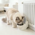 thumbnail image 3 of Water Bowl For Cats - Shaped Dispenser Promotes Hydration And Entertaining Drinking Experience For Indoor Outdoor, 3 of 8