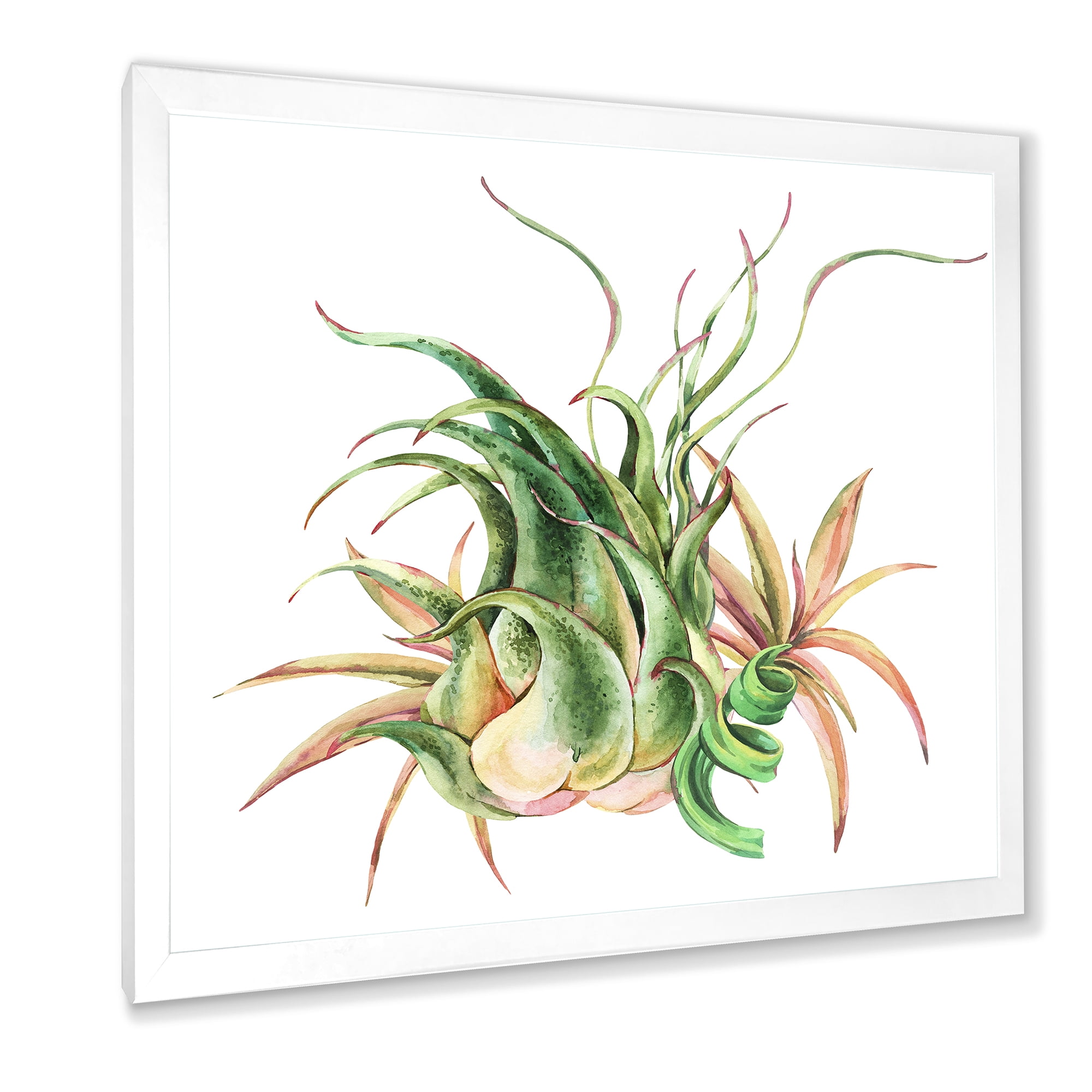 Designart 'Tropical Leaves Air Plant Succulent On White' Farmhouse Framed Art Print