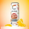 CELSIUS Sparkling Fantasy Vibe, Functional Essential Energy Drink, 12