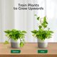 thumbnail image 3 of 2 enrejados para plantas pequeñas de 14 pulgadas para plantas trepadoras, enrejados de metal en forma de panal con 20 bridas para cables, 15 plantas, dorados, 3 of 5