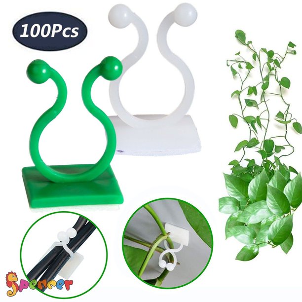 Spencer 100Pcs Plant Climbing Invisible Wall Fixture Clips Wall Vines Plant Fixer SelfAdhesive