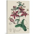 thumbnail image 1 of ARTCANVAS Passion Flowers 1815 Canvas Art Print by Sydenham Edwards - Size: 26" x 18" (0.75" Deep), 1 of 9