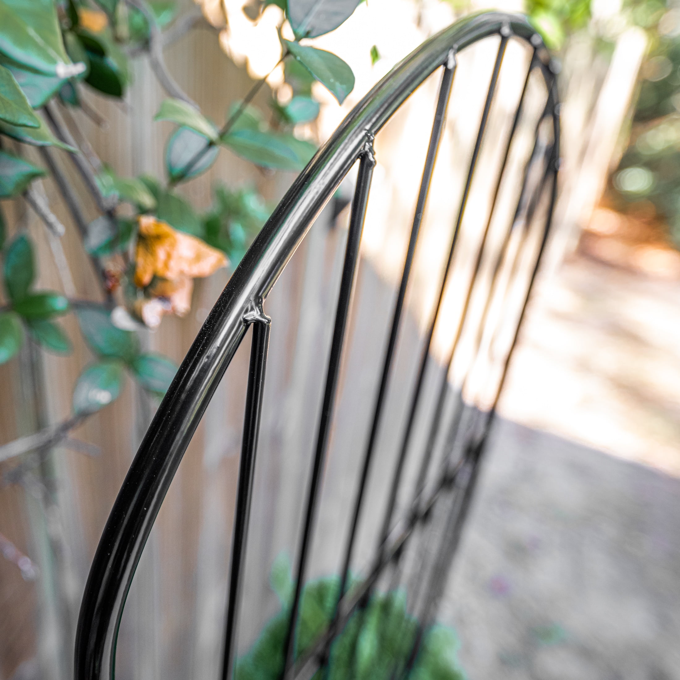 Expert Gardener 72in H x 20.5in W Black Powder-Coated Steel Arched Lawn and Garden Trellis with spiked feet
