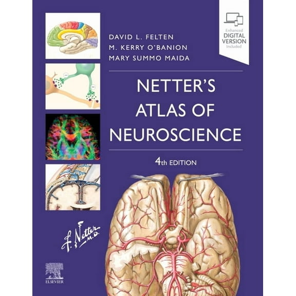 Netter Basic Science Netter's Atlas of Neuroscience, (Paperback)
