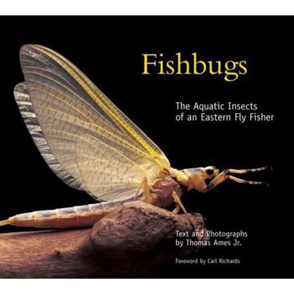 Pre-Owned Fishbugs: The Aquatic Insects of an Eastern Fly Fisher (Hardcover) 0881506753 9780881506754