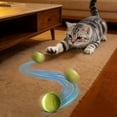 thumbnail image 2 of Interactive Rechargeable LED Light Up Rolling Cat Toy for Indoor Pet Play Exercise and Entertainment, 2 of 6
