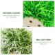 thumbnail image 5 of IFANLANDOR 2Ud Acuáticas Artificiales Para Natural En Acuarios, 5 of 6