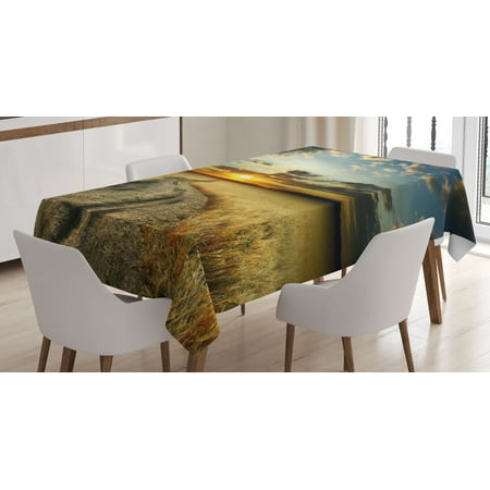 

Nature Tablecloth Road in the Field with Ripe Yellow Wheat Garden under Cloudy Sunset Sky Landscape Rectangular Table Cover for Dining Room Kitchen 52 X 70 Inches Multicolor by Ambesonne