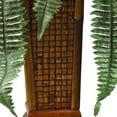 thumbnail image 3 of Boston Fern with Wood Vase Silk Plant, 3 of 5