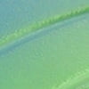 Blue Green
