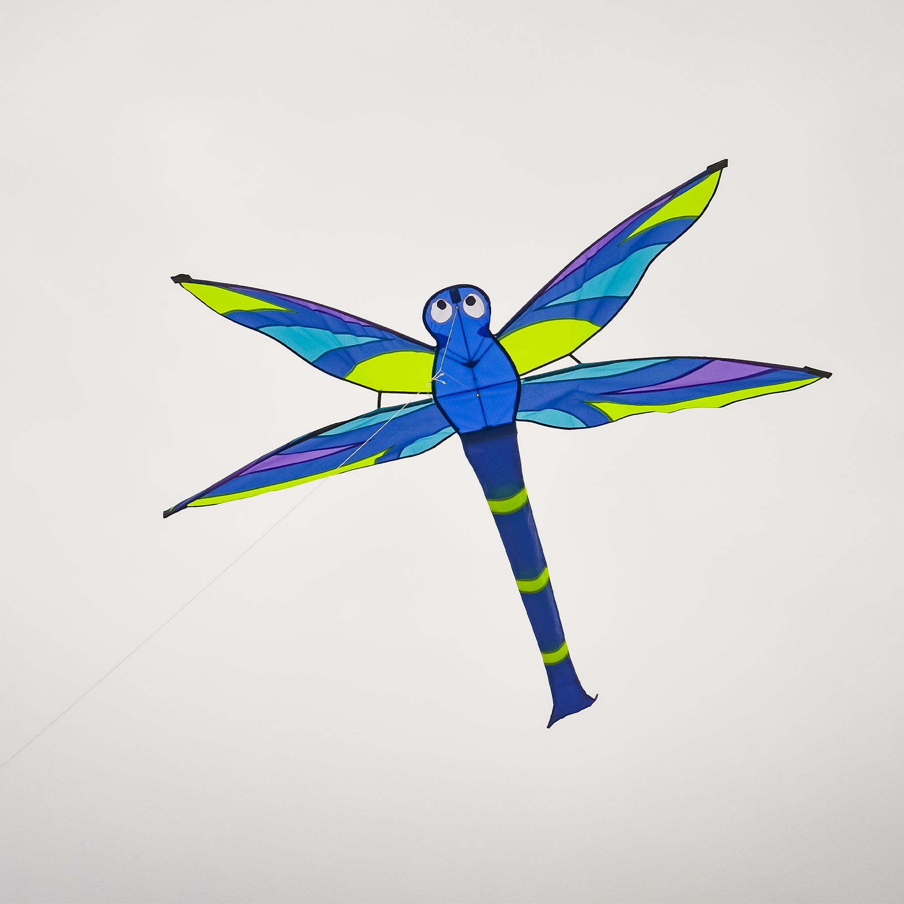In the Breeze 3141 — Harmony Dragonfly Kite — Fun, Easy Flying Single-Line Kite for All Ages