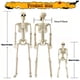 thumbnail image 2 of Decoraciones de Halloween Momax Esqueleto 3FT y 40cm de Plástico, 2 of 6