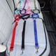 thumbnail image 5 of Dinheiro Collar de perro de lujo de nailon grueso de una sola capa, 5 of 5