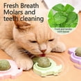 thumbnail image 6 of ‌Catnip Ball Toy for Cats 1 Pack Self Sticking Wall Mounted Dental Care Chew Toy with Removable Cover Stress Relief Interactive Play for Indoor Kittens, 6 of 6