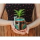thumbnail image 4 of Casco de cerámica con diseño de Boba Fett de Star Wars con suculentas, 4 of 7