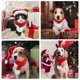 thumbnail image 5 of Christmas Dog Cat Santa Scarf, Dog Winter Knitted Scarf Pet Winter Neck Warmer Costume With White Pompom Ball, 5 of 5
