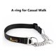 thumbnail image 3 of Plutus Pet Martingala Collar Para Perro Con Cadena De Acero, 3 of 7