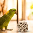 thumbnail image 2 of Small Animal Activity Toy, Small Guinea Pig Toys, Fun Hamster Bunny For Guinea Pig  Sepak Takraw, 2 of 8