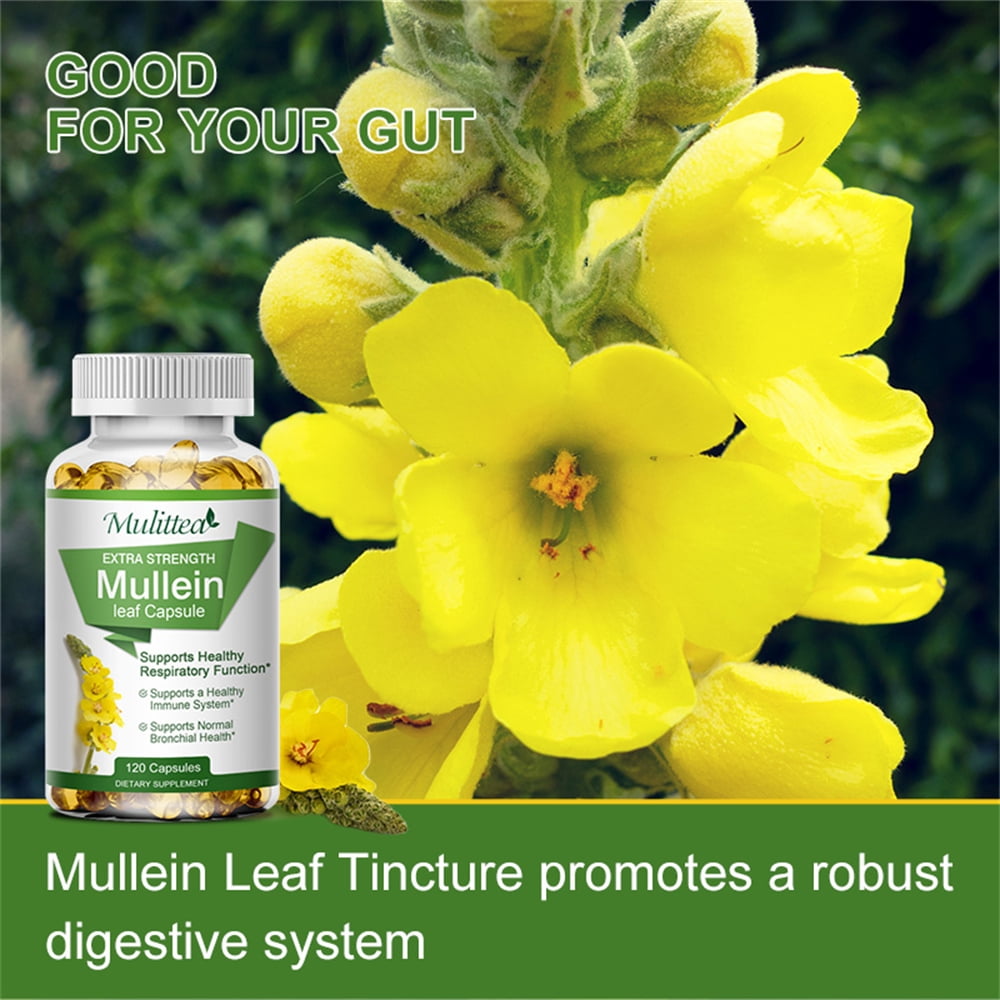 (2 Pack) Mulittea Mullein Leaf Capsules Herbal Dietary Supplement For ...