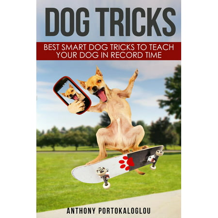 Dog Tricks: Best Smart Dog Tricks to Teach Your Dog in Record Time - (Best Tricks To Teach Your Dog)