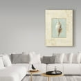 thumbnail image 3 of Trademark Fine Art 'Soothing Words Shells I' Canvas Art by Lisa Audit, 3 of 3
