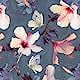 Blooming Hibiscus