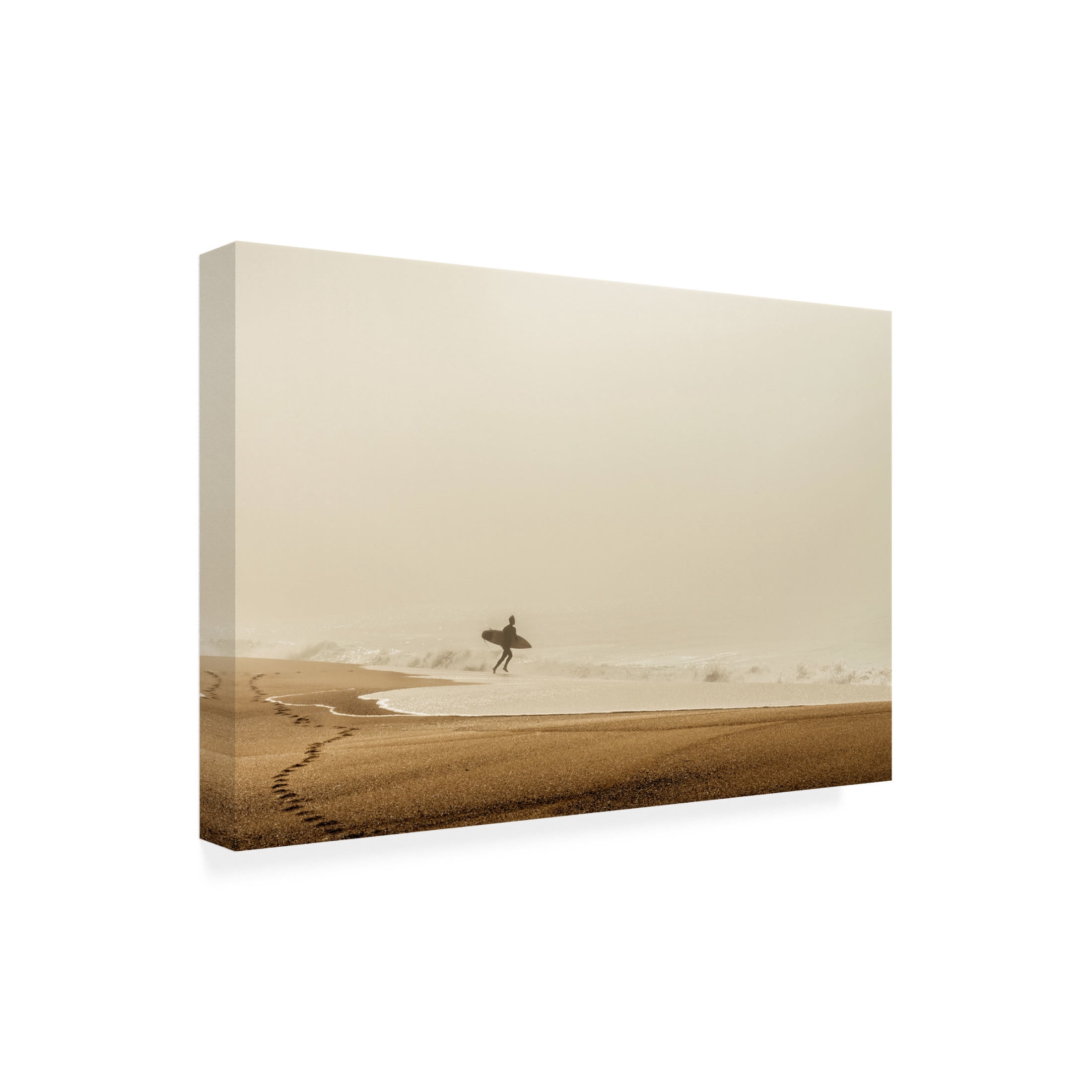 Trademark Fine Art Dieter Reichelt Surfer Canvas Wall Art