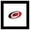 Black Framed Version, variant on Gallery Pops NHL Carolina Hurricanes - Primary Logo Mark Wall Art, Unframed Version, 12" x 12"