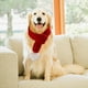 thumbnail image 3 of PET PEQUE?A Bufanda Christmas Puppy Dog Cat Grooming Cuello Cuello Red M Sunnimix bufanda de gatos, 3 of 8