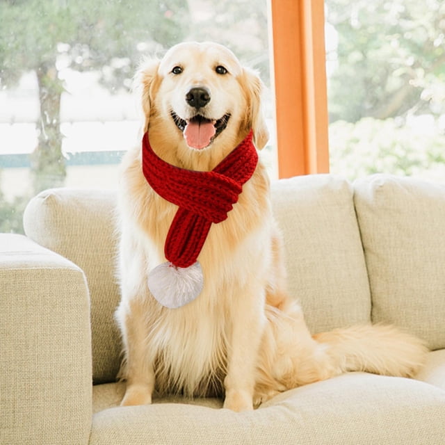 Bufanda de Punto Colco Disfraces para Mascotas Bufandas Cálidas Invierno Rojo m